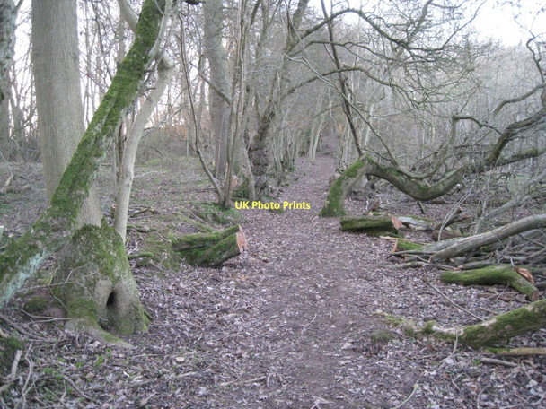 Photo 6"x4" Footpath obstructions cleared Tattle Bank c2011