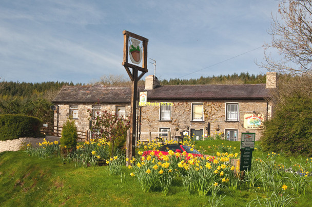 Photo 6"x4" The Royal Oak - Rhandirmwyn Rhandirmwyn c2011 P1