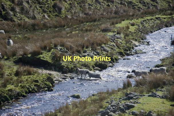 Photo 6"x4" River Calder Oakenclough\/SD5447 c2011
