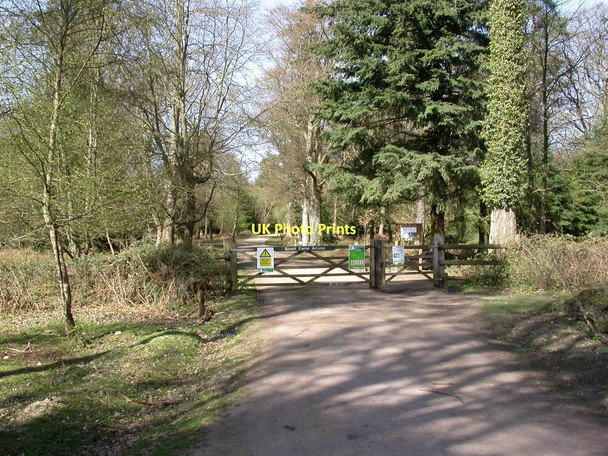 Photo 6"x4" Wilverley Inclosure, gate Mead End\/SZ2698 c2011