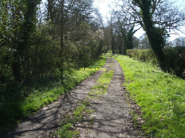 Photo 6"x4" The old road onto the A37, now closed to traffic Stockwood\/ST5806 c2011