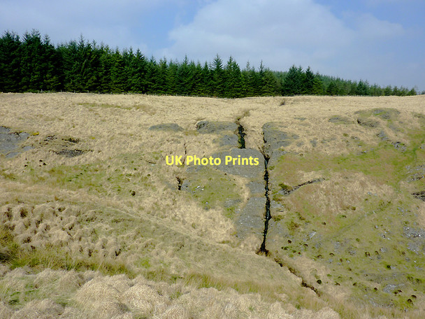 Photo 6"x4" Moorland and forest by Cwm Gruffydd, Ceredigion Camddwr\/SN7754 c2011