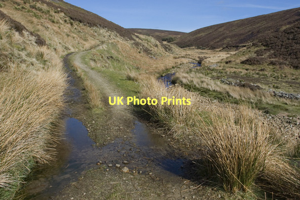 Photo 6"x4" Track to The Arbour Oakenclough\/SD5447 c2011