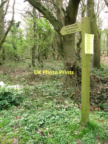 Photo 6"x4" Dead-ended path 1 mile ahead Salthouse\/TG0743 c2011
