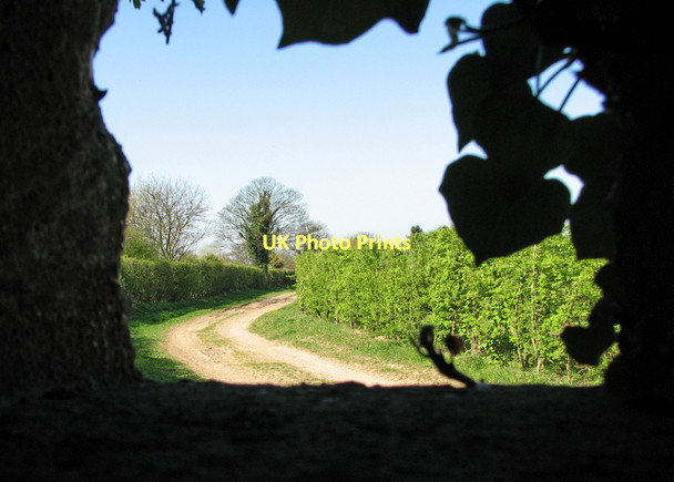 Photo 6"x4" Thriplow: defender's view Heathfield\/TL4546 c2011