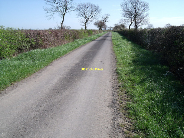 Photo 6"x4" Ings Lane near Spaldington Spaldington c2011