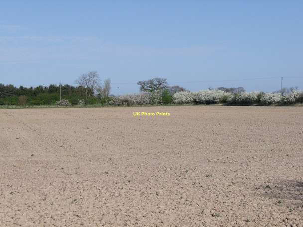 Photo 6"x4" Farmland near Cottage Farm Spaldington c2011