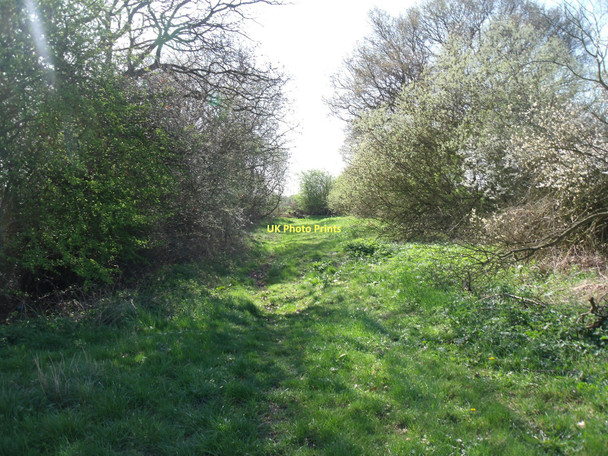 Photo 6"x4" Footpath to Spaldington Spaldington c2011