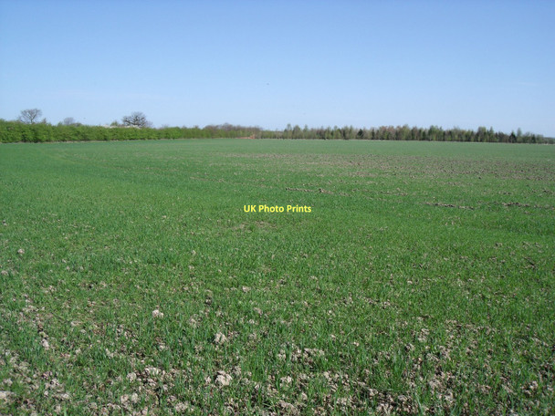Photo 6"x4" Farmland off Bell Lane Foggathorpe c2011