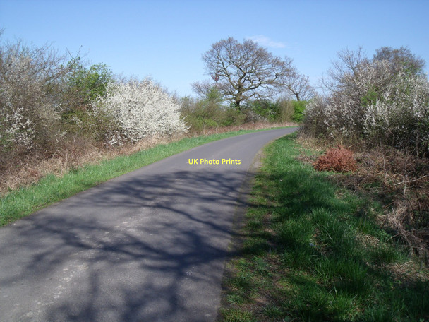 Photo 6"x4" Bell Lane towards Foggathorpe Foggathorpe c2011