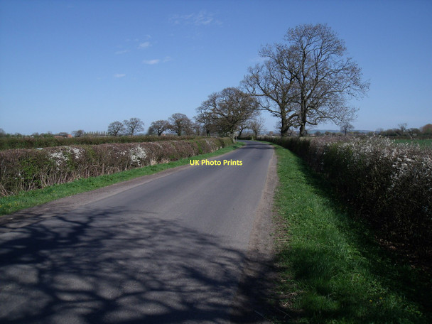 Photo 6"x4" Southfield Lane towards Seaton Ross Water End\/SE7838 c2011
