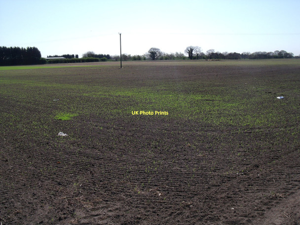 Photo 6"x4" Farmland off Back Lane Holme-on-Spalding-Moor c2011