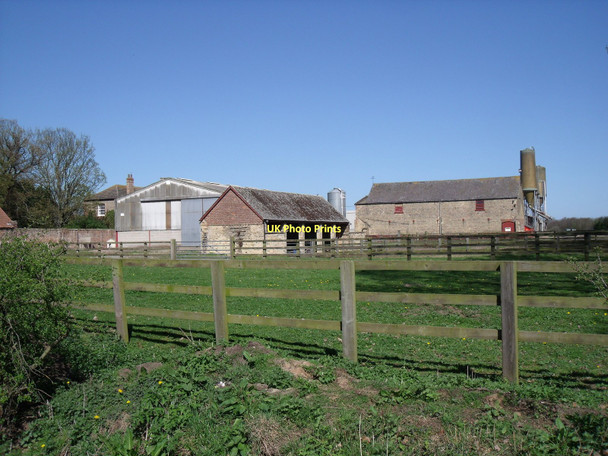 Photo 6"x4" Tollingham Farm Rascal Moor c2011