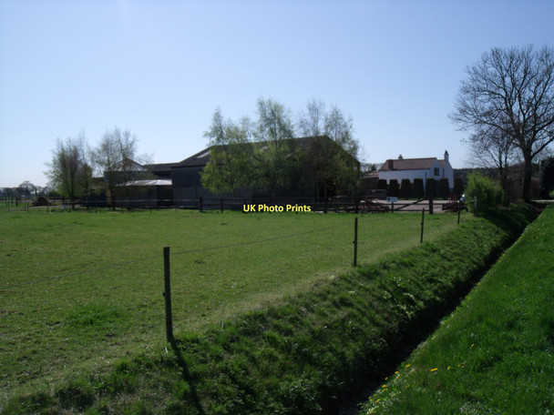 Photo 6"x4" Oak Tree Farm Holme-on-Spalding-Moor c2011
