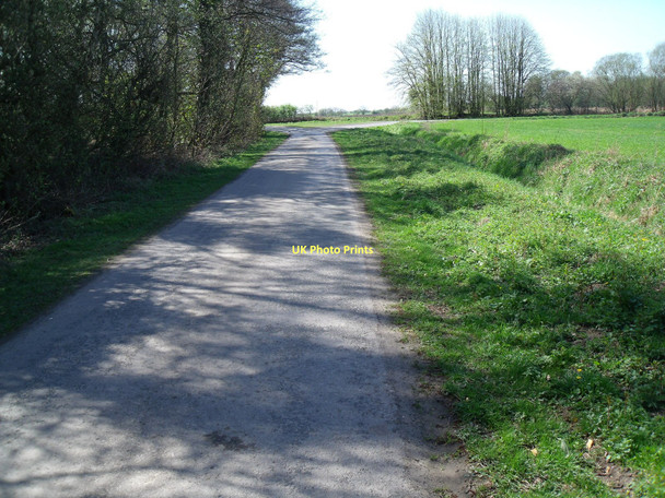 Photo 6"x4" Baileywood Lane Welhambridge c2011