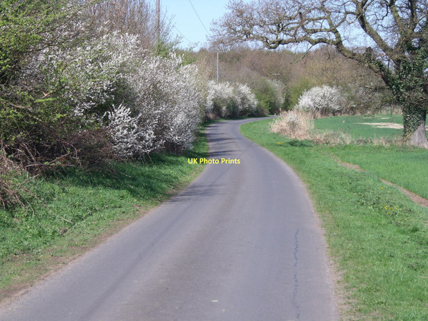 Photo 6"x4" Bulmer Lane towards Water End Water End\/SE7838 c2011