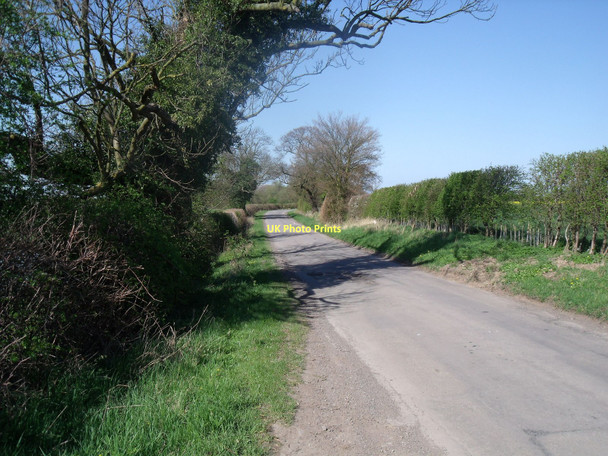 Photo 6"x4" Breighton Road heading north Woodhall\/SE6931 c2011