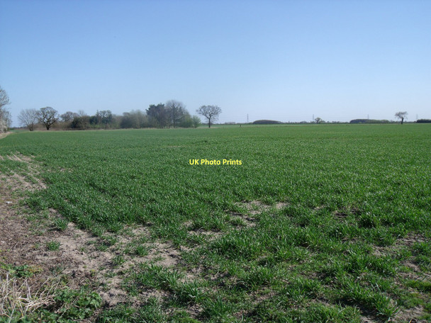 Photo 6"x4" Farmland, Breighton Breighton c2011