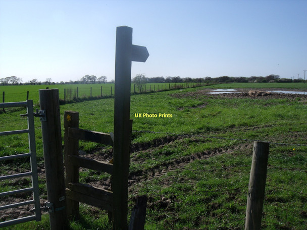 Photo 6"x4" Footpath towards Breighton Breighton c2011