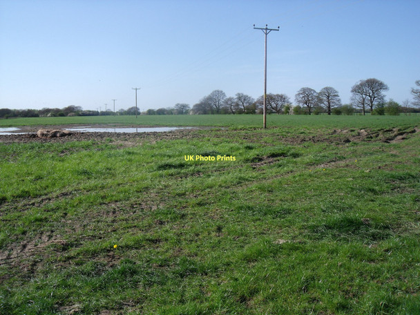Photo 6"x4" Farmland near Waterloo Farm Breighton c2011