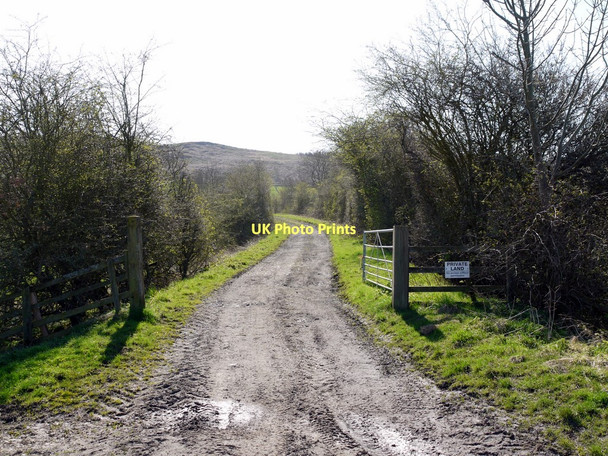Photo 6"x4" Disused railway south-east of Lumby Law Edlingham c2011