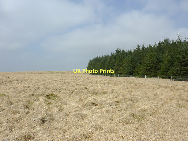 Photo 6"x4" Moorland and forest west of Soar-y-Mynydd, Ceredigion Gouallt c2011