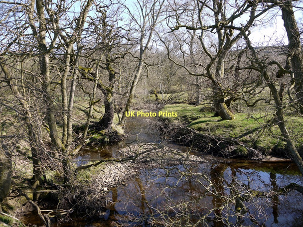 Photo 6"x4" Edlingham Burn Edlingham c2011