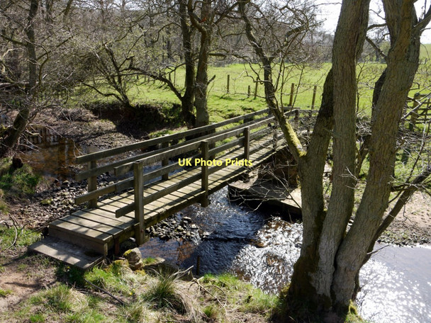 Photo 6"x4" Footbridge over the Edlingham Burn Edlingham c2011 P1
