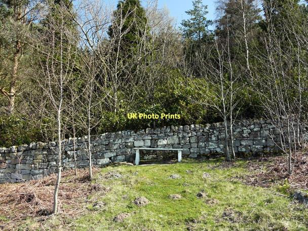 Photo 6"x4" Seat near Lemmington Wood Edlingham c2011