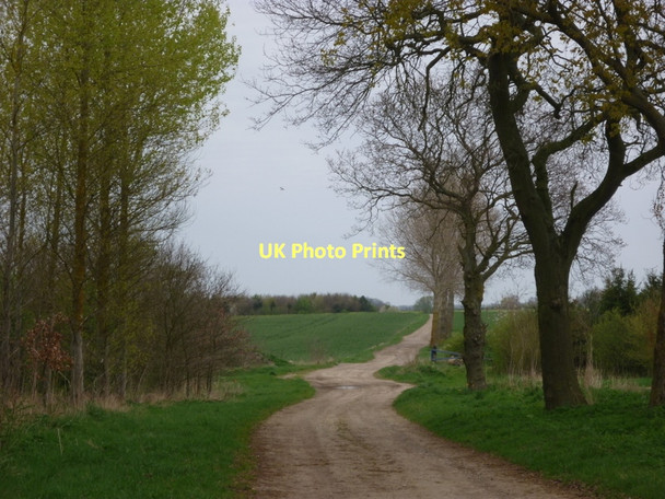 Photo 6"x4" A track to North Gulham North Owersby c2011