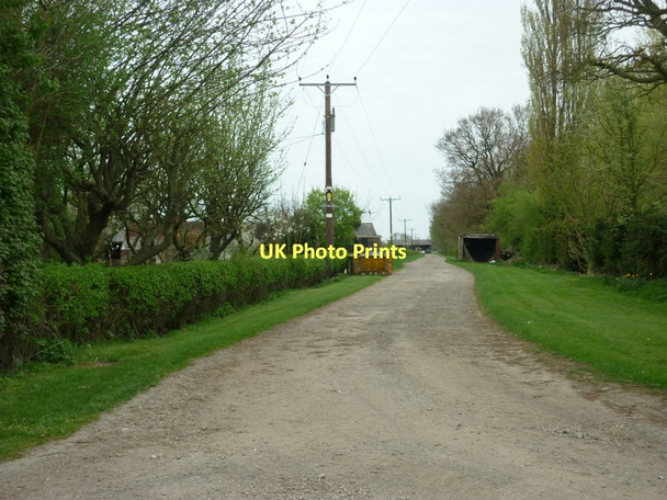Photo 6"x4" The way to Hook's Farm off Gulham Road Bishopbridge c2011