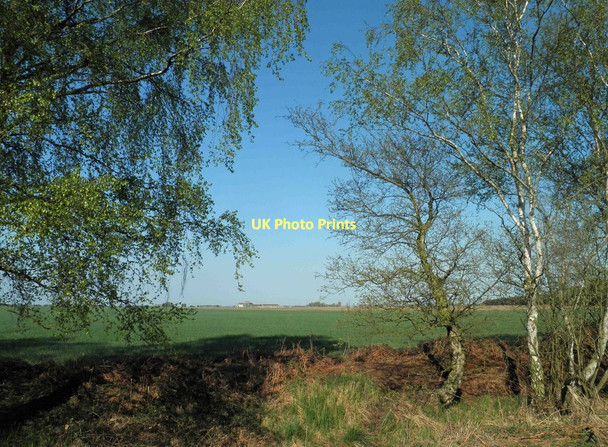 Photo 6"x4" The edge of the wood Crowle waste Crowle Hill c2011
