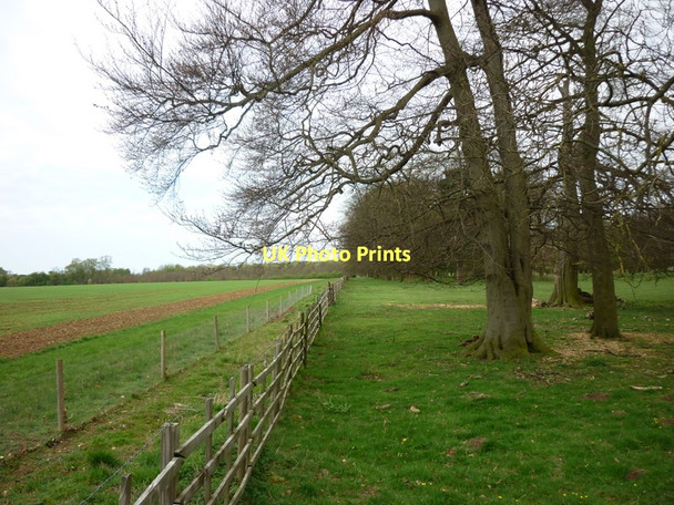 Photo 6"x4" A footpath towards Fillingham Castle Fillingham c2011