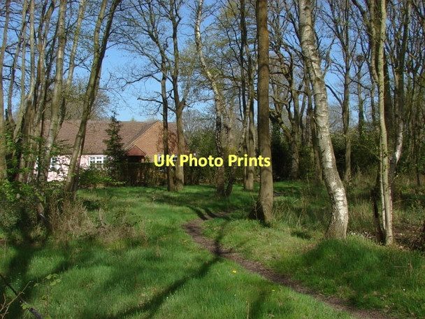 Photo 6"x4" Miles Green, Bisley Lucas Green\/SU9459 c2011