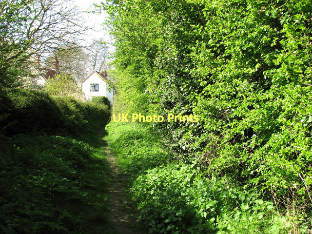 Photo 6"x4" Public footpath from Brooke to Seething Brooke\/TM2899 c2011