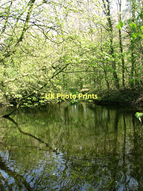 Photo 6"x4" Pond east of Brooke Brooke\/TM2899 c2011 P2