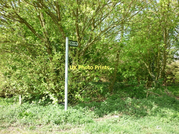 Photo 6"x4" A footpath heading to Hemswell Harpswell c2011