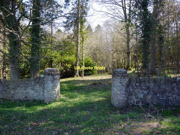 Photo 6"x4" Bank Wood near Lemmington Hall Bolton\/NU1013 c2011