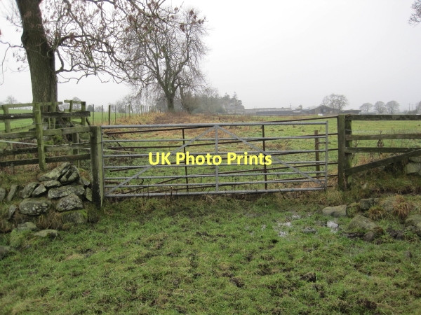 Photo 6"x4" Gates blocking footpath Capheaton c2011