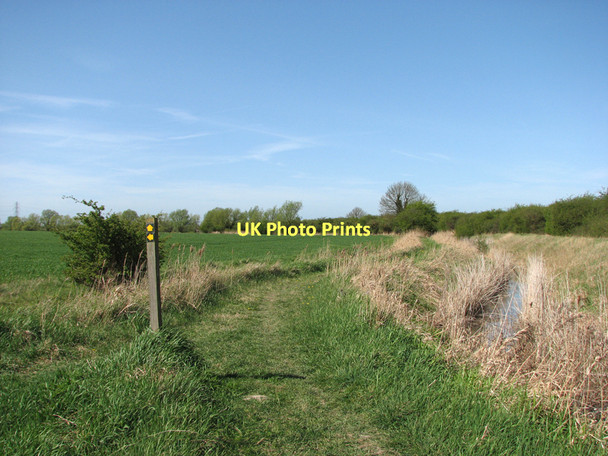 Photo 6"x4" Path junction on Fulbourn Fen Frog End\/TL5358 c2011