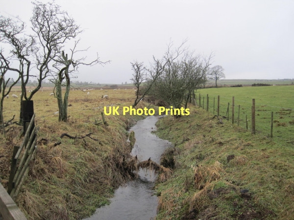 Photo 6"x4" River Blyth below Sandybraes Capheaton c2011