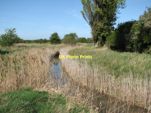 Photo 6"x4" New Cut meets Little Wilbraham River Frog End\/TL5358 c2011