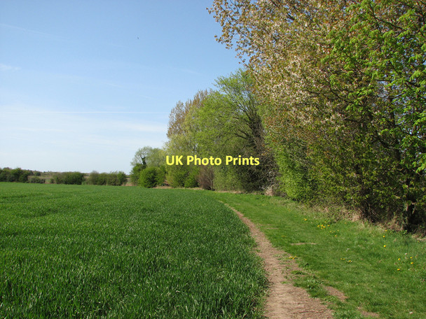 Photo 6"x4" Path to Newmarket Road near Hawk Mill Farm Frog End\/TL5358 c2011