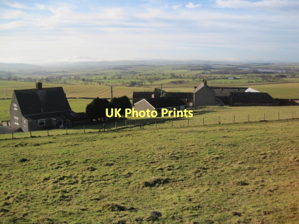 Photo 6"x4" Mootlaw Farm Settlement Ryal\/NZ0174 c2011