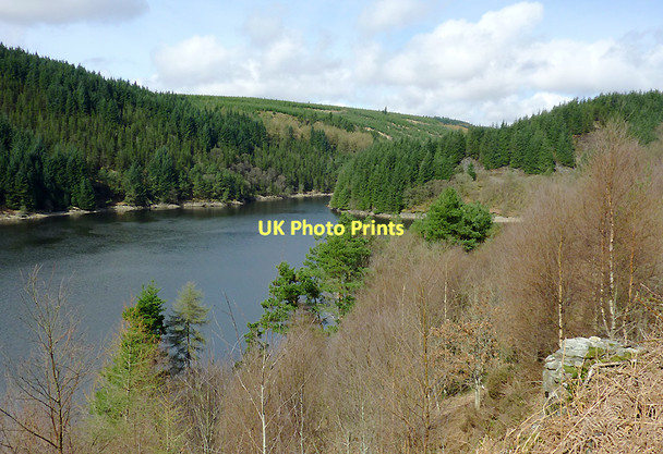 Photo 6"x4" Llyn Brianne west of Cefn Fannog, Powys Tywi Forest c2011