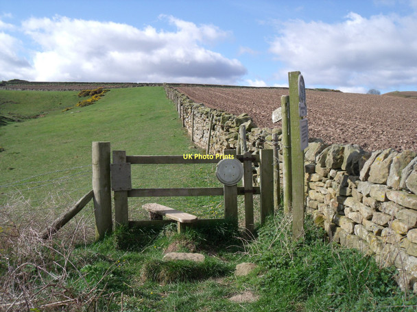 Photo 6"x4" Footpath to Hawsker Bottoms High Hawsker c2011
