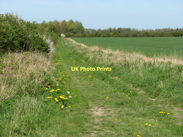 Photo 6"x4" Field-edge path to Great Wilbraham Great Wilbraham c2011
