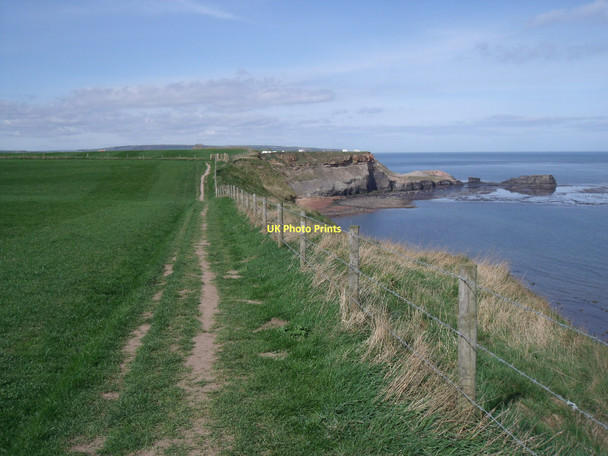 Photo 6"x4" Cleveland Way towards Whitby Stainsacre c2011