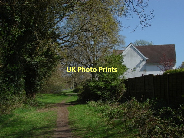 Photo 6"x4" Bisley Common Lucas Green\/SU9459 c2011
