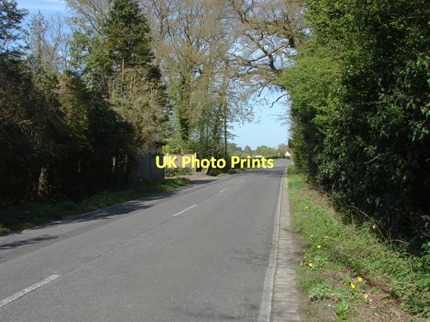 Photo 6"x4" Berry Lane, Woking Fox Corner\/SU9654 c2011
